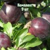 Комплект 5шт / Алыча Клеопатра (Средняя/Фиолетовая)